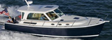 Back Cove 33