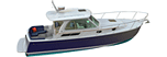 Back Cove 29